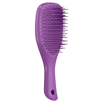 Расчёска для волос Tangle Teezer The Wet Detangler Mini Fresh Purple TT8916